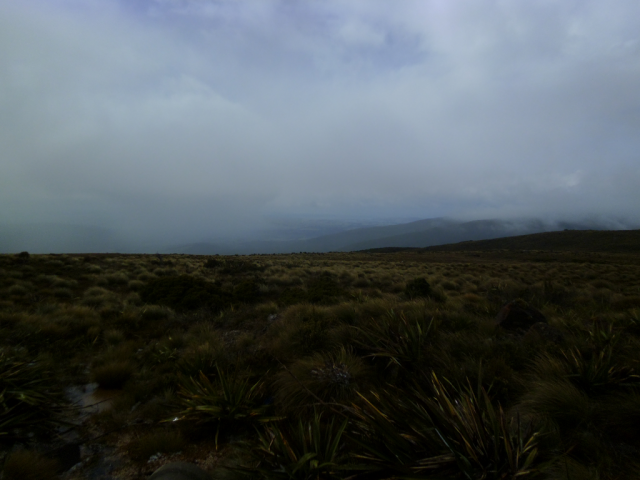 2012-01-15_11.30.01 2012-01-15_11.30.01