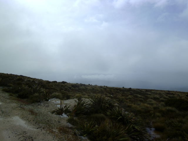 2012-01-15_11.30.36 2012-01-15_11.30.36