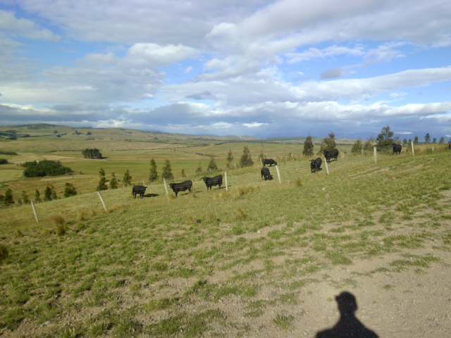 2012-01-20_08.56.16 2012-01-20_08.56.16