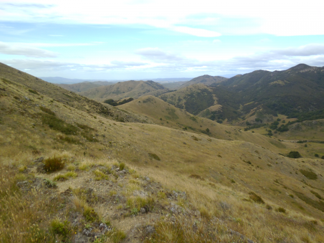 2012-01-21_10.13.32