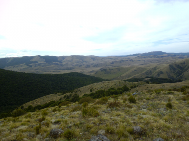2012-01-21_10.40.07