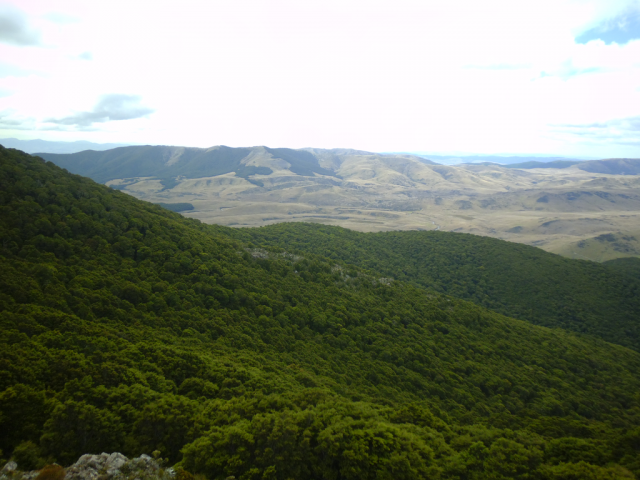2012-01-21_11.57.53