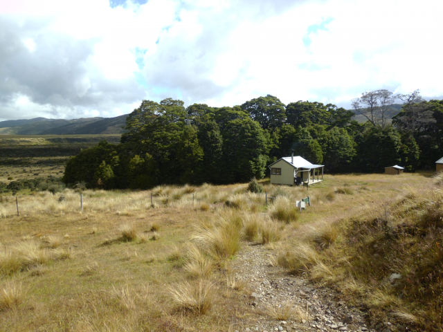 2012-01-22_17.43.44