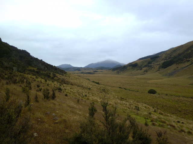 2012-01-23_09.04.19 2012-01-23_09.04.19