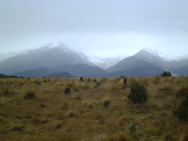 2012-01-23_09.18.15 2012-01-23_09.18.15