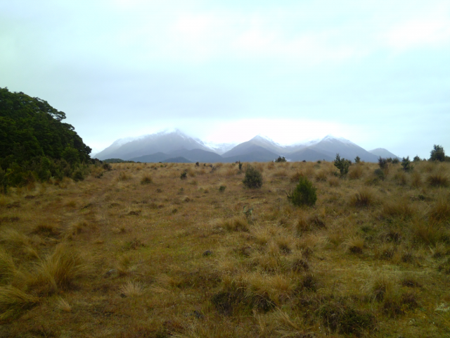 2012-01-23_09.18.39 2012-01-23_09.18.39