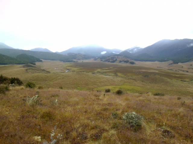 2012-01-23_09.33.15 2012-01-23_09.33.15