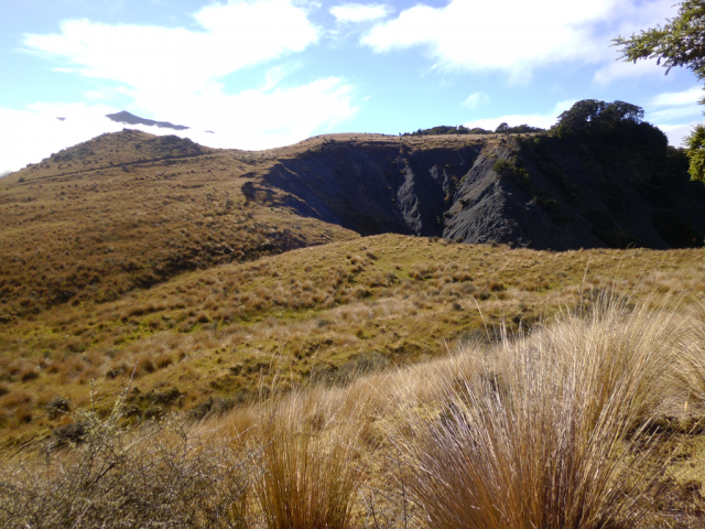 2012-01-24_10.11.37