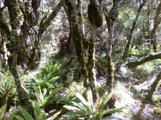 2012-01-24_11.45.52