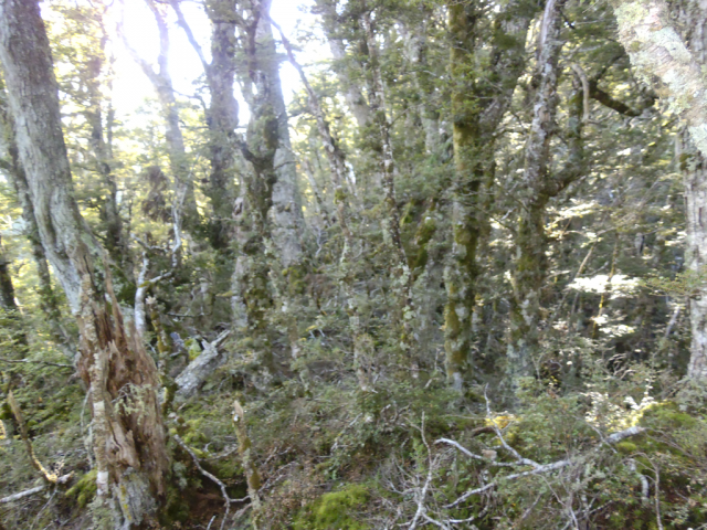 2012-01-24_18.25.30