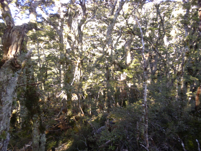 2012-01-24_18.25.40