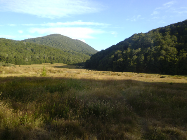 2012-01-28_08.37.16 2012-01-28_08.37.16