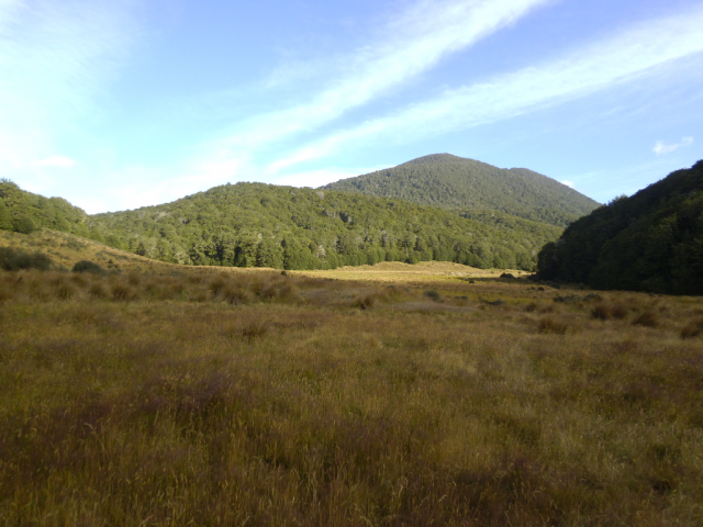 2012-01-28_09.14.04 2012-01-28_09.14.04