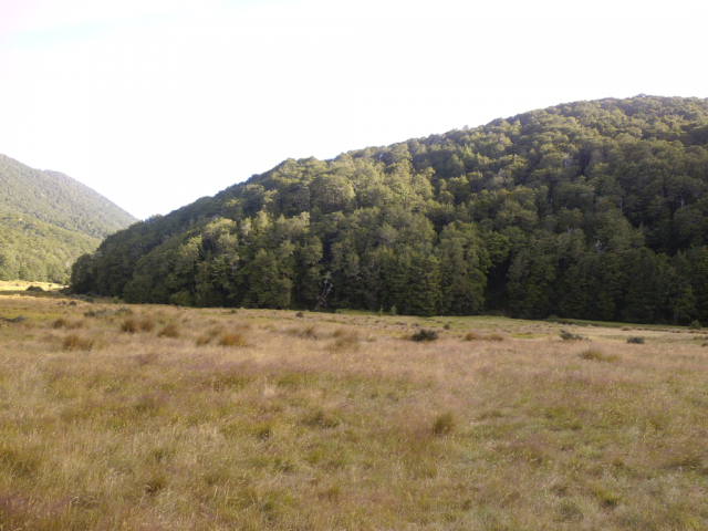 2012-01-28_09.14.14 2012-01-28_09.14.14