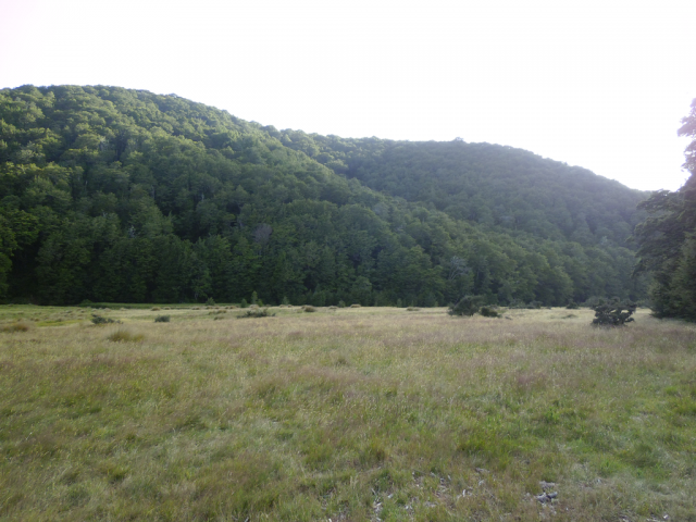 2012-01-28_09.14.24 2012-01-28_09.14.24