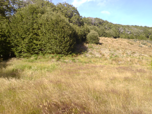 2012-01-28_09.15.01 2012-01-28_09.15.01
