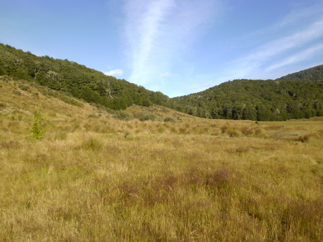 2012-01-28_09.15.09 2012-01-28_09.15.09