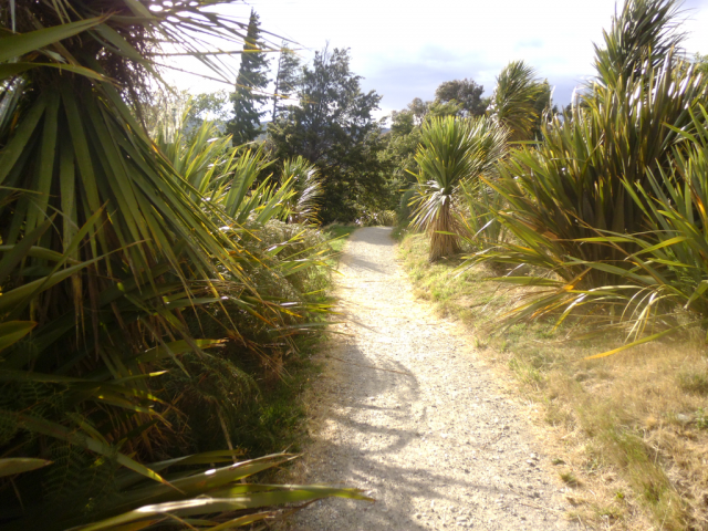 2012-02-18_09.02.43