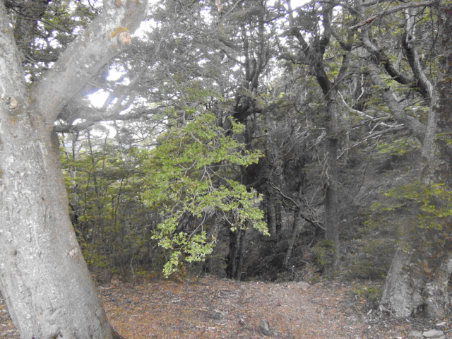 2012-02-19_07.51.02 2012-02-19_07.51.02