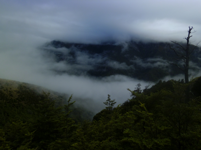 2012-02-19_09.24.21 2012-02-19_09.24.21