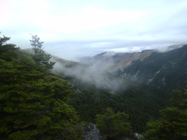 2012-02-19_09.48.50 2012-02-19_09.48.50