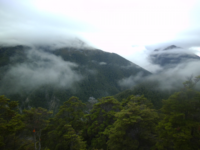 2012-02-19_09.49.09 2012-02-19_09.49.09