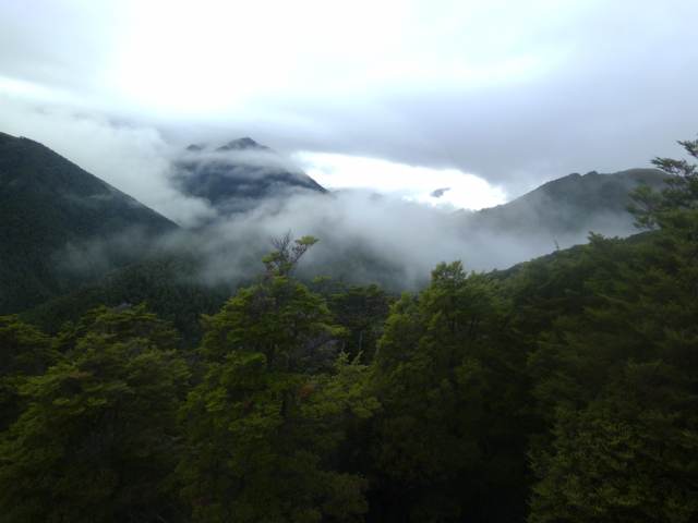 2012-02-19_09.49.18 2012-02-19_09.49.18