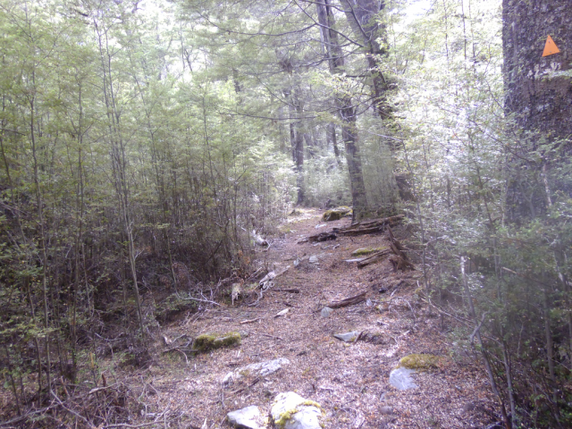 2012-02-19_11.03.39 2012-02-19_11.03.39