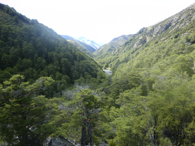 2012-02-19_15.15.54 2012-02-19_15.15.54