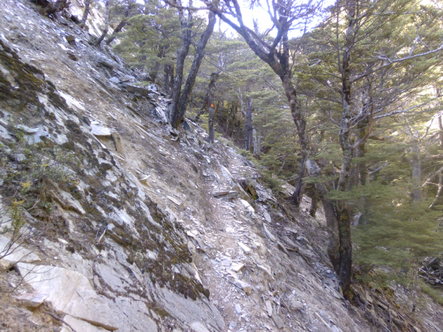 2012-02-19_17.21.03 2012-02-19_17.21.03