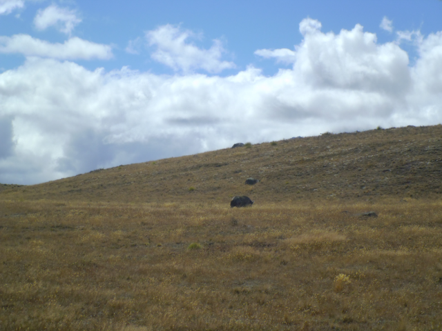 2012-02-20_15.14.04 2012-02-20_15.14.04