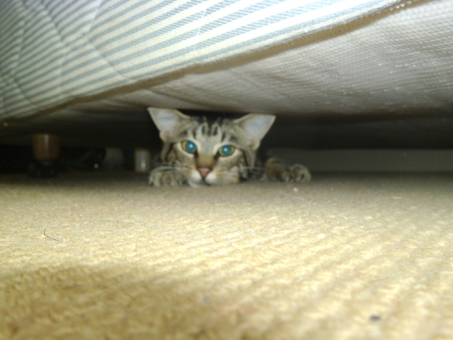 2012-03-07_09.20.23 2012-03-07_09.20.23
