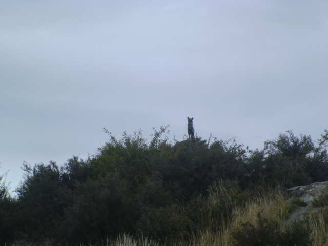 2012-03-07_11.27.48 2012-03-07_11.27.48