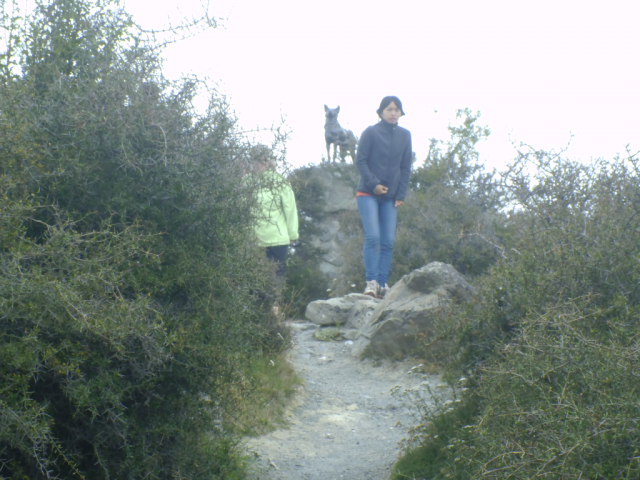 2012-03-07_11.28.22 2012-03-07_11.28.22