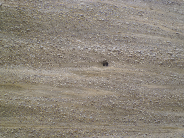 2012-03-07_12.49.13 2012-03-07_12.49.13