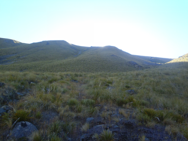 2012-03-09_10.08.30 2012-03-09_10.08.30