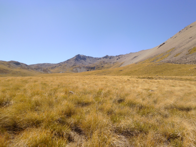 2012-03-09_13.08.59 2012-03-09_13.08.59