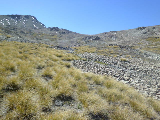 2012-03-09_15.02.00 2012-03-09_15.02.00