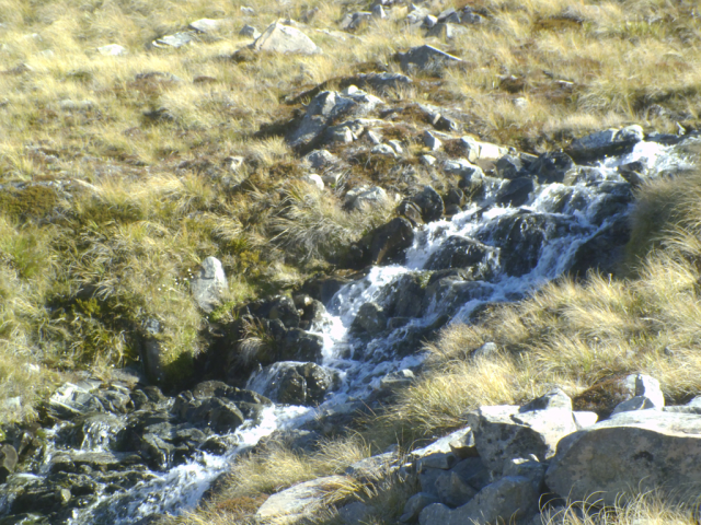 2012-03-09_16.53.20 2012-03-09_16.53.20