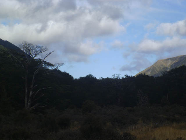 2012-04-04_09.23.34