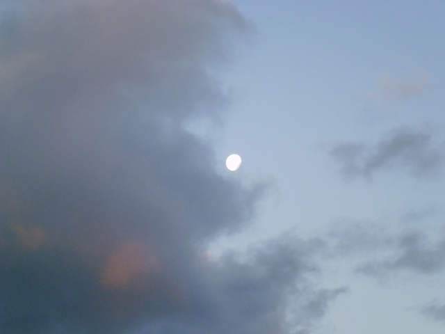 2012-04-04_18.12.57