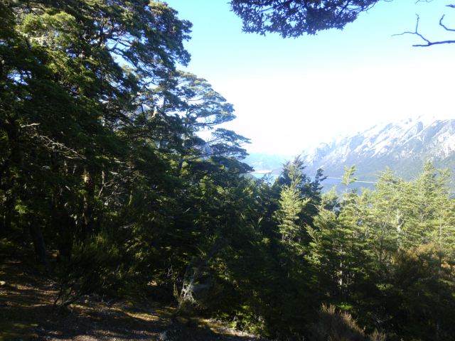 2012-04-05_11.55.39