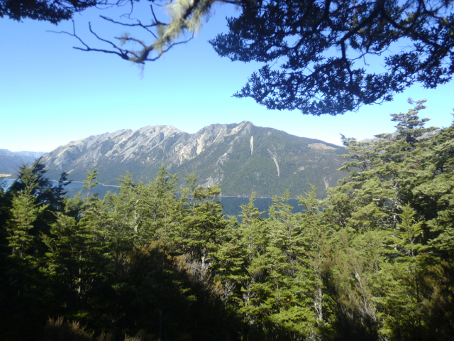 2012-04-05_11.55.47
